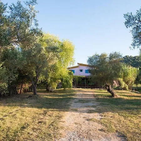 Lefkada's Bohemian * Kalligoni